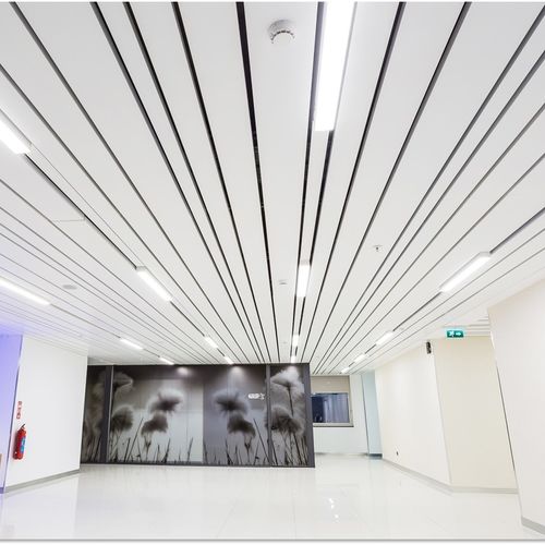 Controsoffitto in acciaio galvanizzato - AP103 - Apton Partitioning Limited - a doghe / per ufficio / da interno