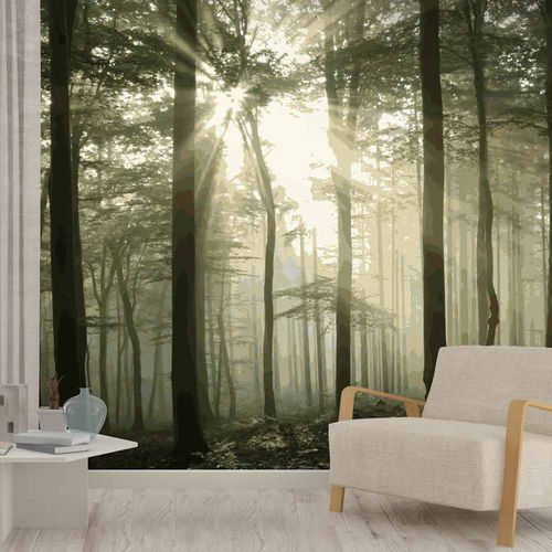 Carta da parati contemporanea - FURESTA FT1507 - LGD01 décor mural sur mesure - con motivi naturali / panoramica / aspetto tessuto