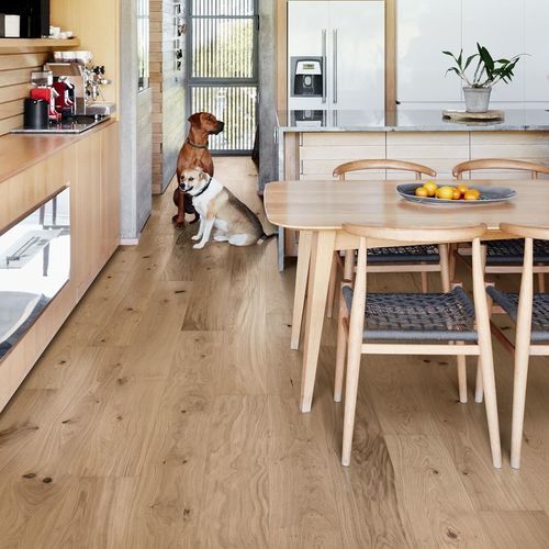 Parquet multistrato - OAK GENTIAN  - Upofloor - in picea / in pino / spazzolato