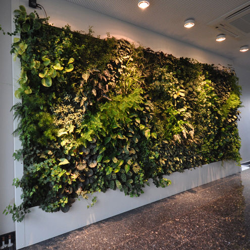 Parete vegetale da interno - LIVEPANEL - PFLANZENWAND / VERTICAL GARDEN / JARDIN VERTICAL - Freund GmbH - bioclimatica