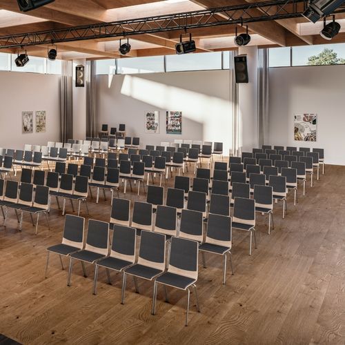 Sedia contemporanea - ROMA - ASSMANN BÜROMÖBEL GMBH & CO. KG - da interno / in pelle / in legno