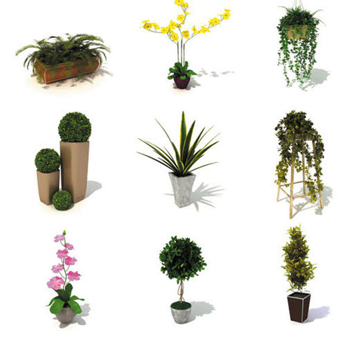 Biblioteca d'oggetti 2D/3D - INDOOR PLANTS - DOSCH DESIGN
