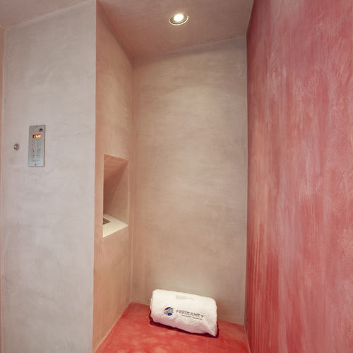 Doccia a vapore - WELLPRO - Freixanet Wellness - in acciaio inossidabile / con sportello battente / rettangolare