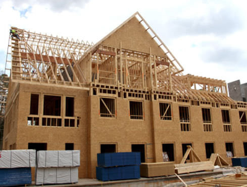 Pannello da costruzione OSB - BLUE RIBBON® - Georgia Pacific - per edificio