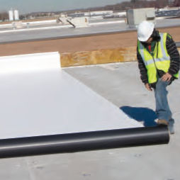 Pannello in legno da costruzione - DEXCELL®  - National Gypsum - per solaio / per tetto / per muro