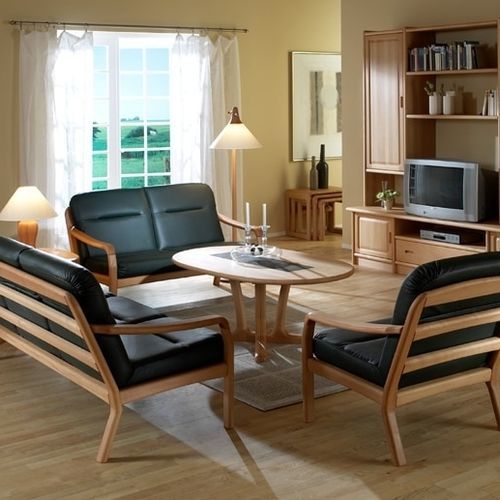 Tavolino basso design scandinavo - 9256S - dyrlund - in faggio / con supporto in faggio / ovale