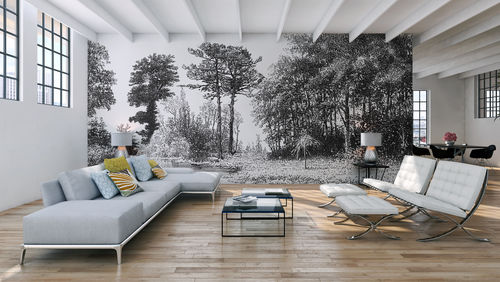 Carta da parati contemporanea - D239 GRAVURE FORET  - In Création - con motivi naturali