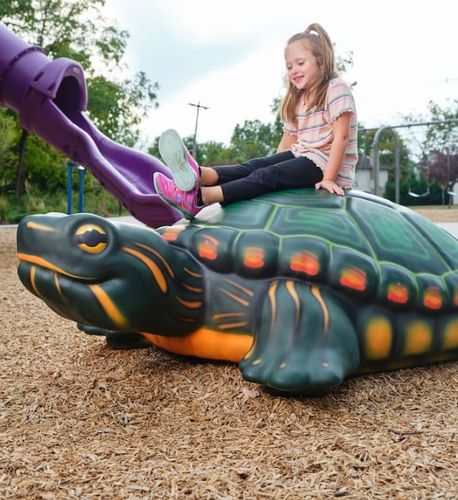 Scultura in plastica - TURTLE  - Soft Play LLC - su misura / a pavimento / per parco giochi