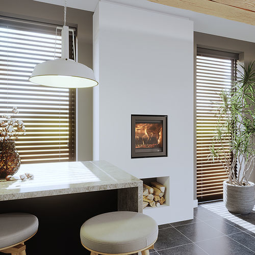 Inserto per camini a legna - DIK GEURTS - INSTYLE 550 - DRU - in acciaio / contemporaneo