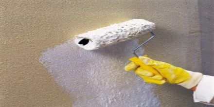 Pittura decorativa - WEBER PEINTURE SILICATE - Weber Industries - da esterno / per muro / minerale