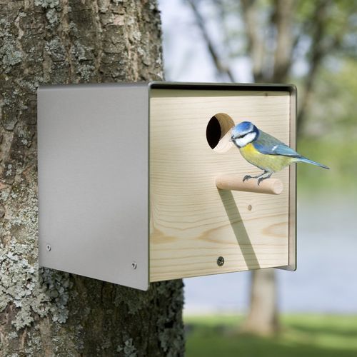 Nido per uccelli in legno - twitter.nature - keilbach design and products - in acciaio inossidabile / sospeso / da parete