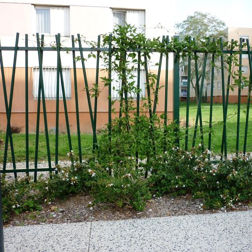 Recinzione a sbarre - ROSEAU - Jacot des Combes - da giardino / in metallo / contemporanea