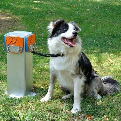 Paletto per parco per cani - R9055 - Industrias Agapito - di sicurezza / fisso / in acciaio galvanizzato
