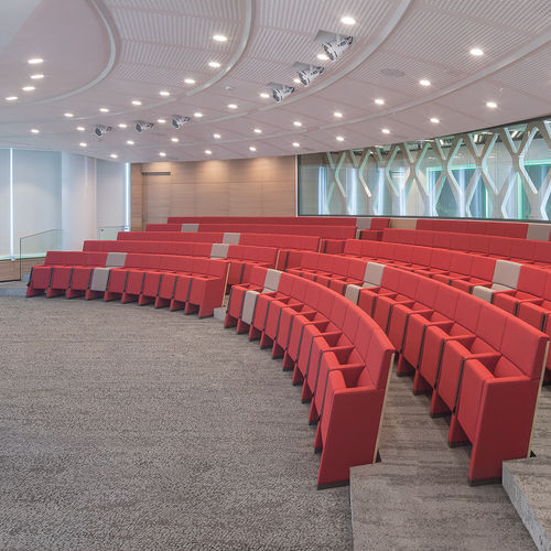Poltrona per auditorium contemporanea - L213  - Lamm srl - in schiuma di poliuretano / in legno compensato / pieghevole