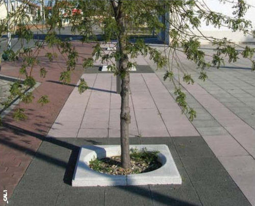 Griglia per alberi quadrata - SOLTAS : DAFOZ - A Amop Synergies - in calcestruzzo