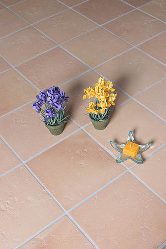Piastrella in terracotta - MASIA - Ceramica Elias - levigata / da interno / da pavimento