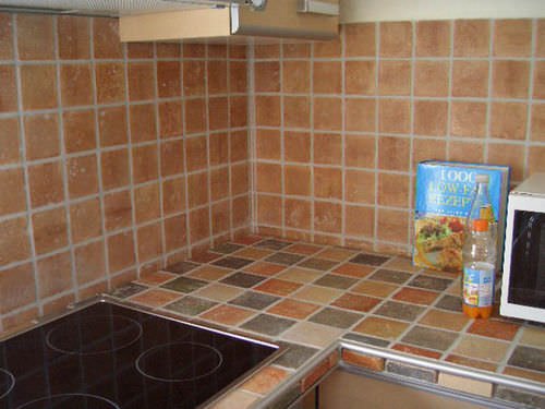 Piastrella in terracotta - MILENIUM - Ceramica Elias - opaca / da interno / da cucina