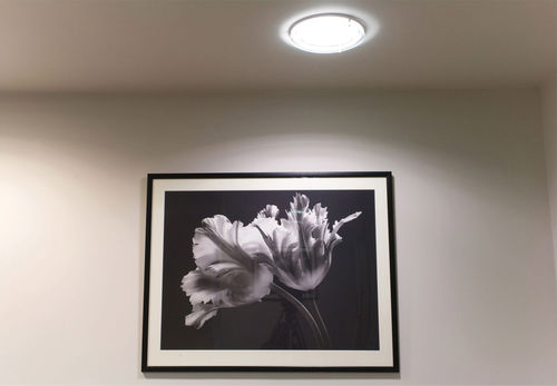 Downlight da incasso - PL - Orlight - fluorescente compatto / rotondo / da interno