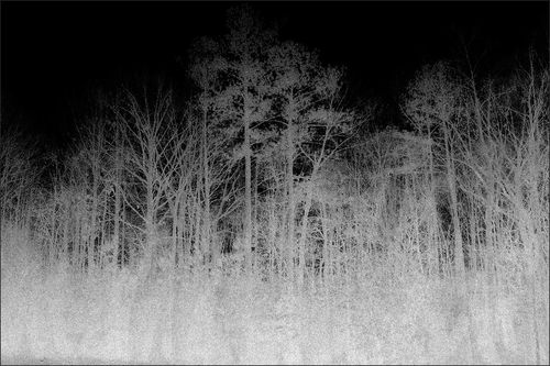 Tappeto contemporaneo - BLAIRWITCH 1  - VIDAME EDITIONS - a motivi / in poliammide / rettangolare
