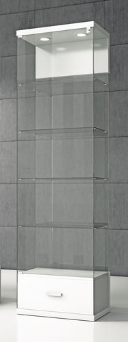 Vetrina contemporanea - VE/60C  - Italvetrine - in vetro temprato / in legno / illuminata