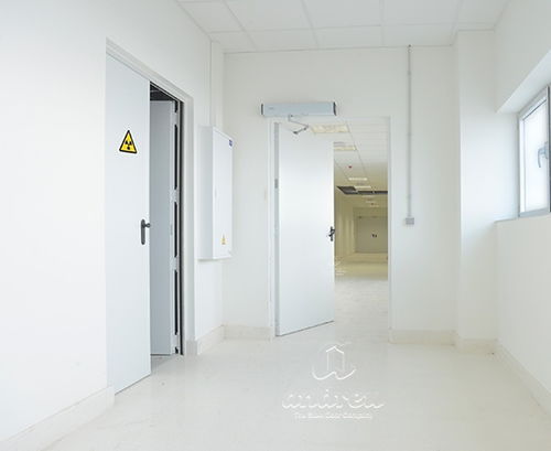 Porta anti raggi X - TURIA RX - Andreu Barberá, S.L. - da interno / in acciaio galvanizzato / in lamiera d'acciaio