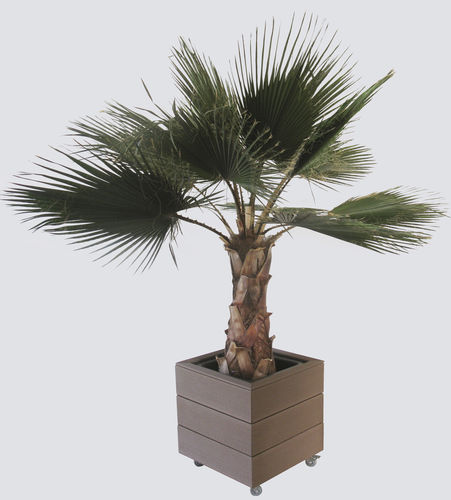 Vaso design - Tecnodeck - in legno / in alluminio / su misura