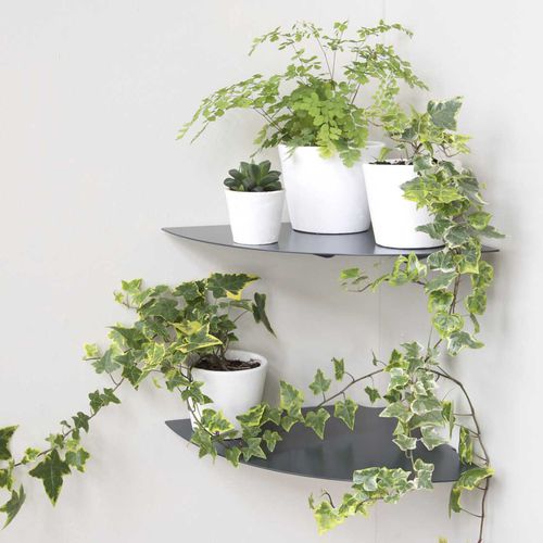 Mensola - ALU-GOLO - TEEbooks - ad angolo / design minimalista / in alluminio laccato