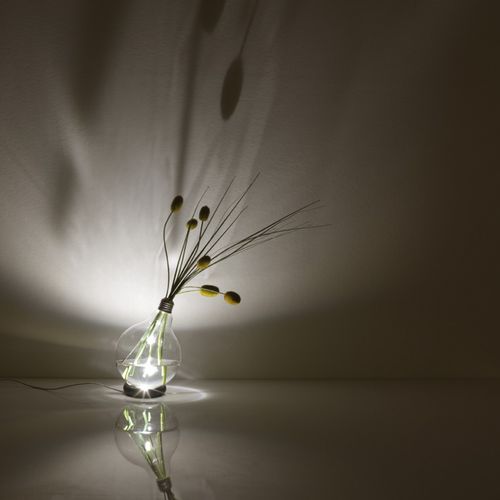 Vaso design originale - Vesoi - in vetro / in metallo cromato / luminoso