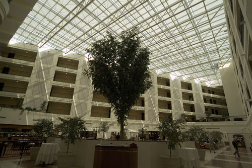 Tenda avvolgibile a rullo - VERANDA - Selt Sun Protection Systems - per finestra da tetto / per veranda / in tessuto