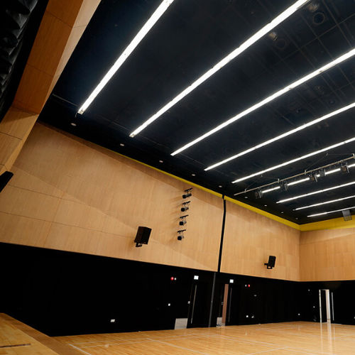 Pannello acustico per muro - CLASSIC 9/2 M - TOPAKUSTIK AG - per soffitto / impiallacciato in legno / in melaminico