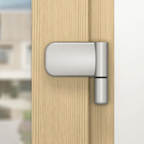 Cerniera per porta - SOLID S | 105 NN - Frank Roto DST GmbH - per uso residenziale / contemporanea