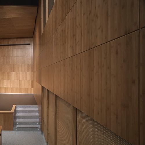 Pannello acustico per d'auditorium - Grupo GUBIA - per muro / per soffitto / in bambù