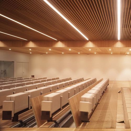 Controsoffitto in bambù - Grupo GUBIA - a doghe / per d'auditorium / da interno