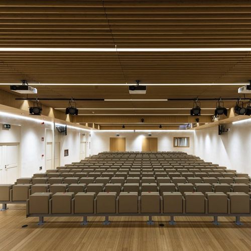 Controsoffitto in bambù - Grupo GUBIA - a doghe / per d'auditorium / da interno