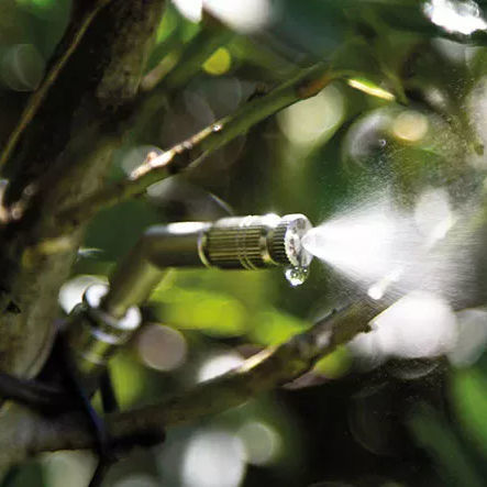 Nebulizzatore antizanzare - Mosquitos bye - Piscine Acquaform