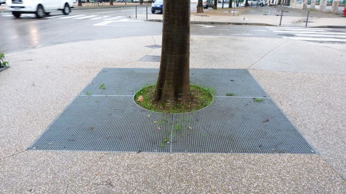 Griglia per alberi quadrata - ANDAINE - NORCOR MOB.URBAIN - rotonda / in acciaio galvanizzato