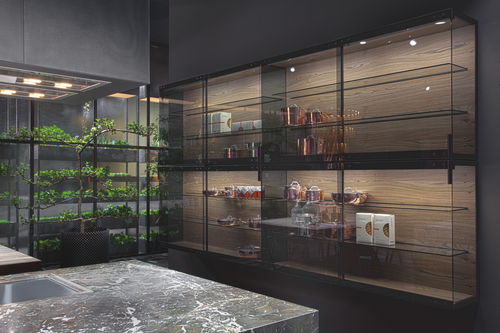 Mobile alto per cucina contemporaneo - Rossana - in legno / in vetro