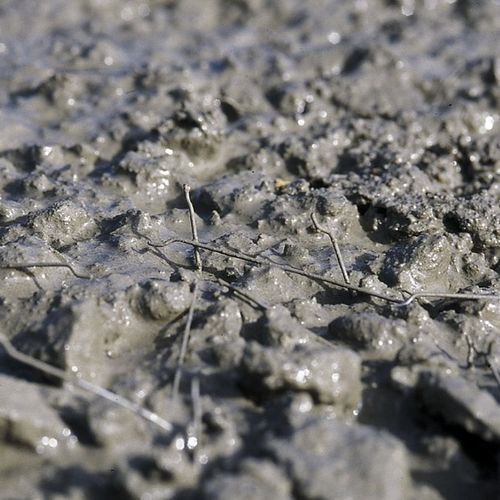 Calcestruzzo autocompattante - AGILIA® MI MÉTAL - Lafarge concrete - fibrorinforzato / per casa / sotto pavimento