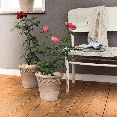 Vaso da giardino in terracotta - ROYAL : TL7  - Deroma - conico / rotondo