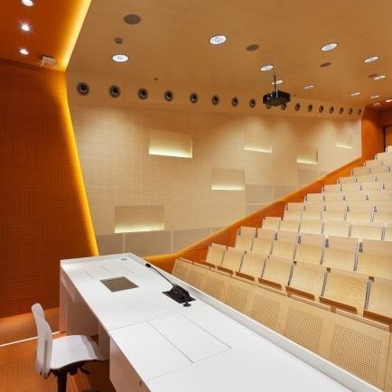Pannello acustico per muro - PG5 - Gustafs Scandinavia AB - per soffitto / impiallacciato in legno / rettangolare
