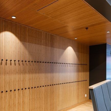 Pannello acustico per muro - RP8 C20 - Gustafs Scandinavia AB - per soffitto / impiallacciato in legno / a base gesso