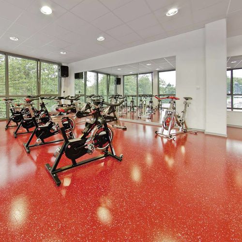 Pavimentazione sportiva da interno - DECOELAST®+ - REGUPOL Germany GmbH & Co. KG - in poliuretano / per attività sportiva / per ginnastica