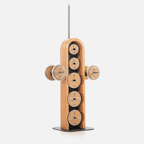 Spalliera svedese per attrezzature sportive - WEIGHTPLATE TOWER CH&Ecirc;NE - WATERROWER FRANCE