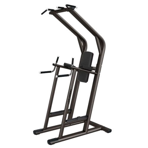 Attrezzo per bodybuilding dips - LBR-LC - Life Fitness - sollevamento gambe distese / da interno / per palestra
