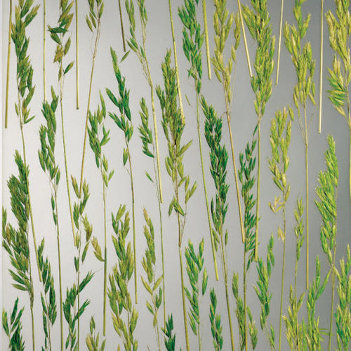Pannello decorativo da costruzione - A2 - AkrylDek s.r.o. - per parete / per cucina / per doccia