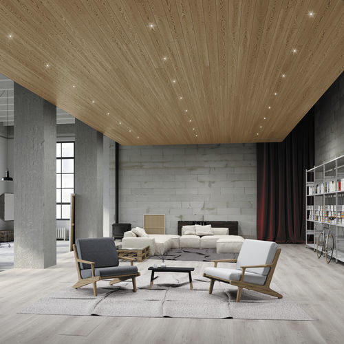 Downlight da incasso - GENIUS NAKED - BUZZI & BUZZI - da soffitto / LED / rotondo