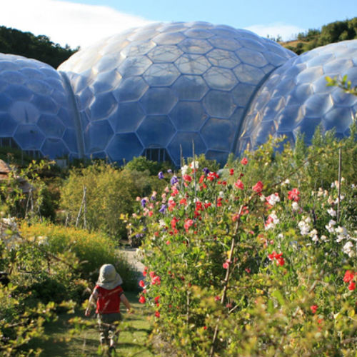 Membrana tessile ETFE Texlon® - EDEN PROJECT - Vector Foiltec - per facciate / da tetto / traslucida