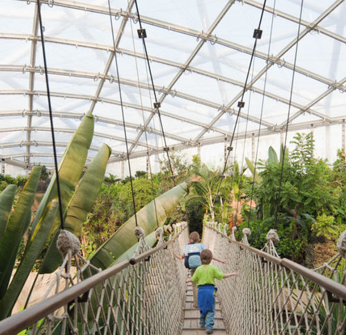 Sistema di copertura di profilati metallici - GONDWANALAND AT ZOO LEIPZIG, GERMANY - Vector Foiltec - ETFE Texlon® / contract
