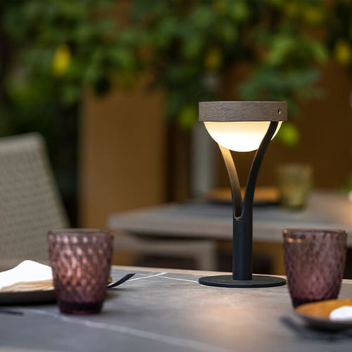 Lampada da tavolo - TYBLE  - LES JARDINS - in alluminio / contemporanea / ricaricabile
