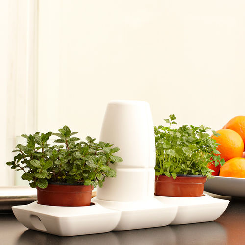 Vaso da giardino in plastica - MINIGARDEN BASIC S POTS - Minigarden (Quizcamp SA) - da appoggio / rotondo / con irrigazione automatica